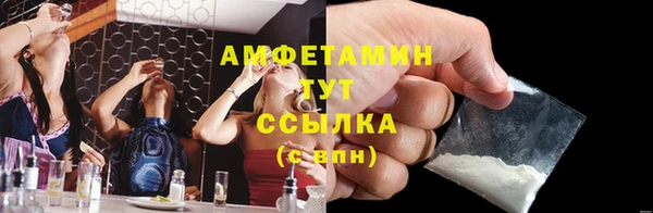 мдпв Пестово