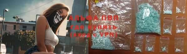 мдпв Пестово