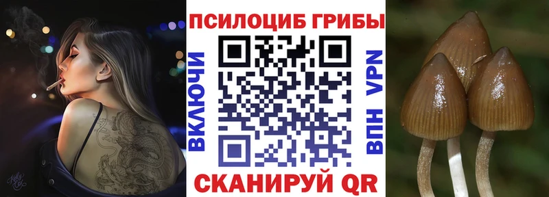 купить наркотик  Дятьково  Псилоцибиновые грибы ЛСД 